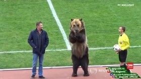 VIDEO: Atraksi Beruang Buka Laga Sepak Bola di Rusia