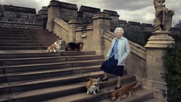 img-title Bagaimana Nasib Anjing Corgi Kesayangan Usai Ratu Elizabeth II Meninggal?