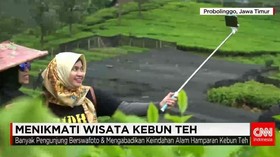 Menikmati Wisata Kebun Teh