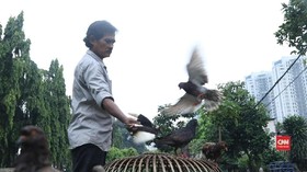 Jinak Merpati di 'Istana' Agus