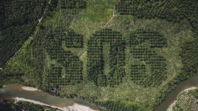 FOTO: Jerit Isi Rimba Raya