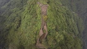 Forest Stewardship Ultimatum Sinar Mas Karena Tebang Hutan