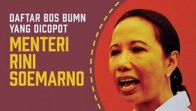 Daftar Bos BUMN yang Dicopot Menteri Rini Soemarno