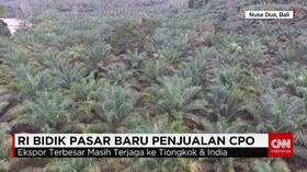 RI Bidik Pasar Baru Penjualan CPO