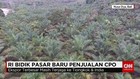 RI Bidik Pasar Baru Penjualan CPO