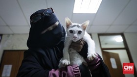 Cinta Ibu Asuh untuk 100 Kucing di Rumahnya