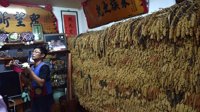 FOTO: Berkenalan dengan Masyarakat Adat Formosa