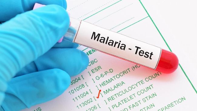 Memeringati Hari Malaria Sedunia, yang jatuh pada hari ini (25/4), publik diajak untuk lebih tahu mengenai penyakit malaria agar dapat melakukan pencegahan.