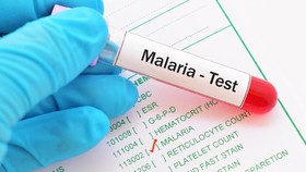 7 Fakta yang Patut Diketahui Seputar Malaria
