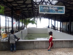 7 Wisata Edukasi di Bangka Belitung, Rekomendasi untuk Liburan Sekolah