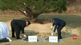 VIDEO: Kim Jong-un dan Moon Jae-in Tanam Pohon Perdamaian