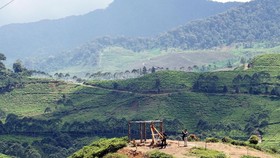 7 Tempat Wisata Bogor yang Dekat dari Bekasi