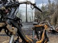 Kronologi Letusan Lumpur di Blora Hilangkan Belasan Kerbau