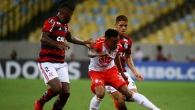 Fan Penuhi Tubuh dengan Tato Gambar Kostum Klub Flamengo
