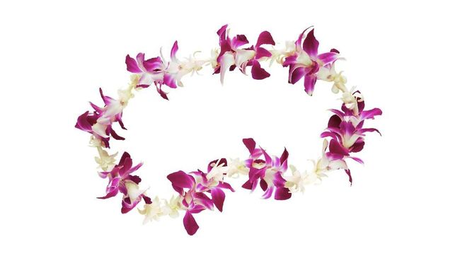 Hawaii adalah tempat yang identik dengan suasana santai dan pantai.