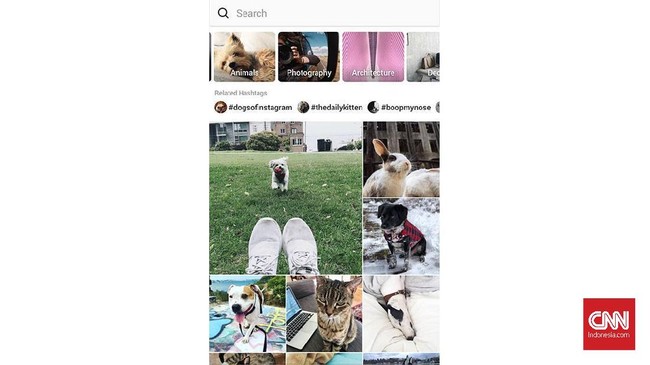 Warganet sempat mengeluhkan Instagram yang down akibat penyetelan ulang halaman Explore tanpa pemberitahuan. Ada apa?