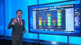 Pertumbuhan Tenaga Kerja Asing di Indonesia