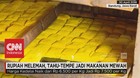 Rupiah Melemah, Tahu Tempe Jadi Makanan Mewah