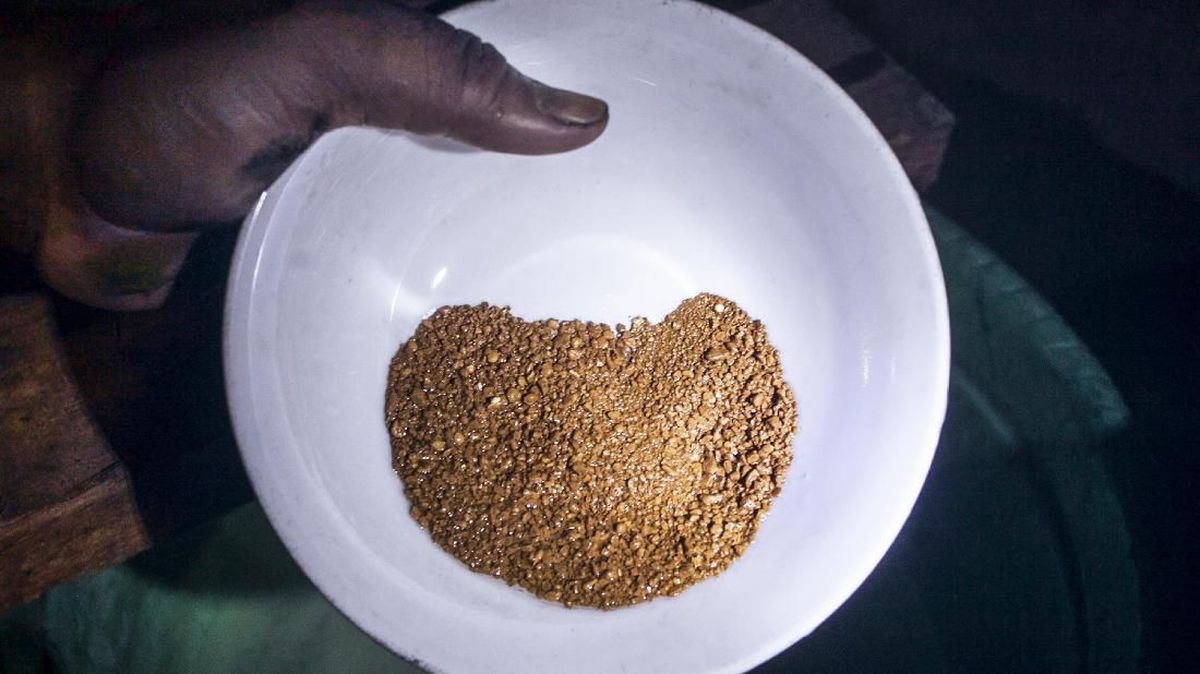 Turis China Ketiban Rejeki, Temukan Emas 10 Gram dalam Perut Bebek