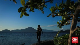 Pohon Kenanga Penjaga Pantai Pastofiri