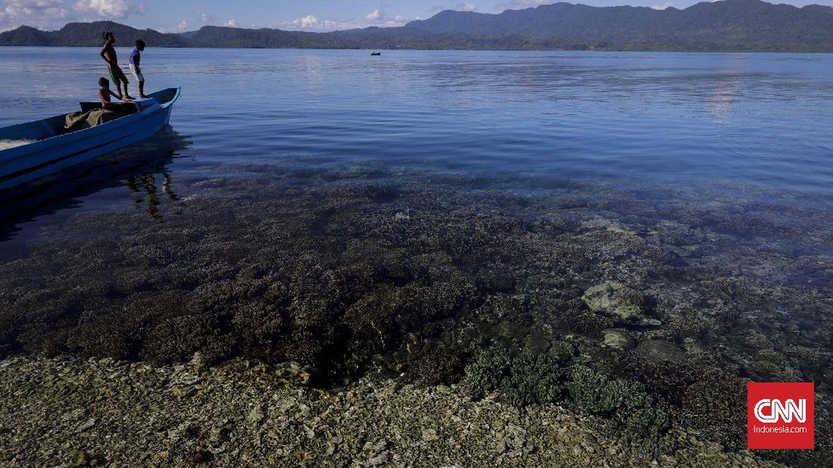 FOTO: Merengkuh Damai di Pastofiri