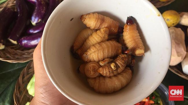 Ada banyak alternatif makanan selain daging sapi atau ayam yang bisa dikonsumsi anak. Ini beberapa di antaranya.