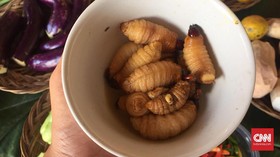 Pepes Ulat Sabeta, Kuliner Khas dari Jailolo