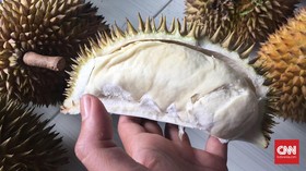 Ragam Manfaat di Balik Nikmatnya Durian