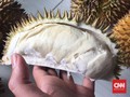 Gara-gara China, Malaysia 'Ketiban' Durian Runtuh