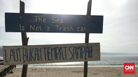 Dikawal Lumba-Lumba di Perairan Pulau Pisang
