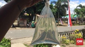 Cap Tikus dan Saguer, Warisan Adat yang 'Ter-oplos' Zaman