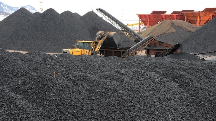 A loader is seen amid coal piles at a port in Lianyungang, Jiangsu province, China January 25, 2018. REUTERS/Stringer