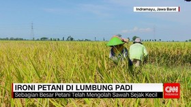 Ironi Petani di Lumbung Padi