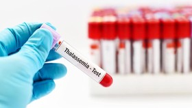 Darurat Penyebaran Thalassemia di Indonesia