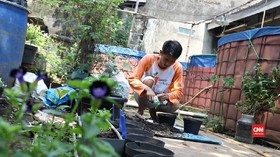 Kebun Mandiri Karya 'Tangan Dingin' Kurnia