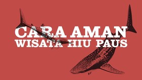 INFOGRAFIS: Cara Aman Wisata Hiu Paus