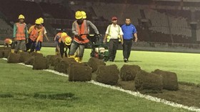 Jelang Asian Games 2018, Rumput SUGBK Dipindahkan
