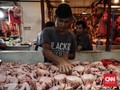 Tips Membeli Daging Ayam yang Tepat