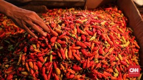 Dekati Rp70 Ribu per Kg, Harga Cabai Rawit Merah Kian 'Pedas'