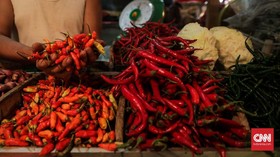 Kementan: Karantina Terbatas Hambat Distribusi Pangan ke DKI