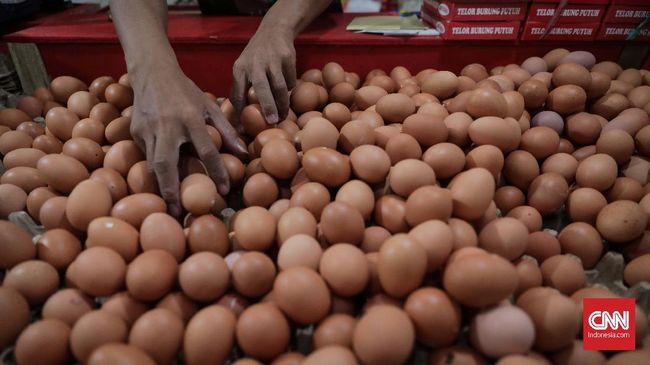 Pencemaran dioksin pada produk ternak bisa diakibatkan karena pakan ternak yang terkontaminasi oleh dioksin. Apa itu dioksin?