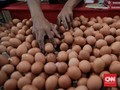 Mengurai Masalah Harga Telur yang Sempat Picu Peternak Marah
