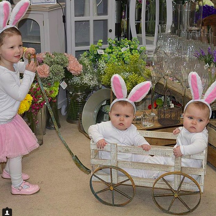 <p>Kelinci yang besar mendorong dua kelinci kecil nih. Sama-sama lucu! (Foto: Instagram/ @daughtersanddreams)  </p>