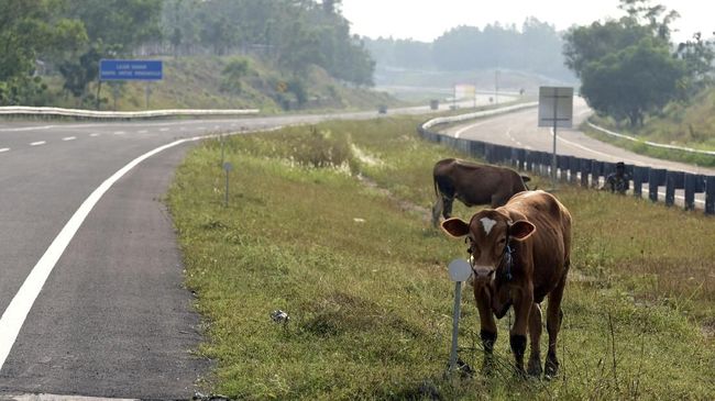 Bagi sebagian orang, mudik identik dengan perjalanan darat bersama keluarga dengan menggunakan kendaraan roda empat