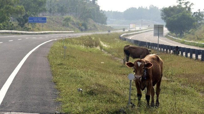 Jalan Tol Medan-Kualanamu-Tebing Tinggi Seksi I Simpang Susun Tanjung Morawa - Parbarakan yang dibuka Senin (11/6) gratis sampai H+7 Lebaran atau 22 Juni 2018.