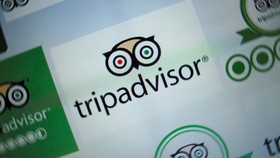 TripAdvisor PHK 25 Persen Karyawan