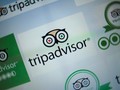 TripAdvisor PHK 25 Persen Karyawan