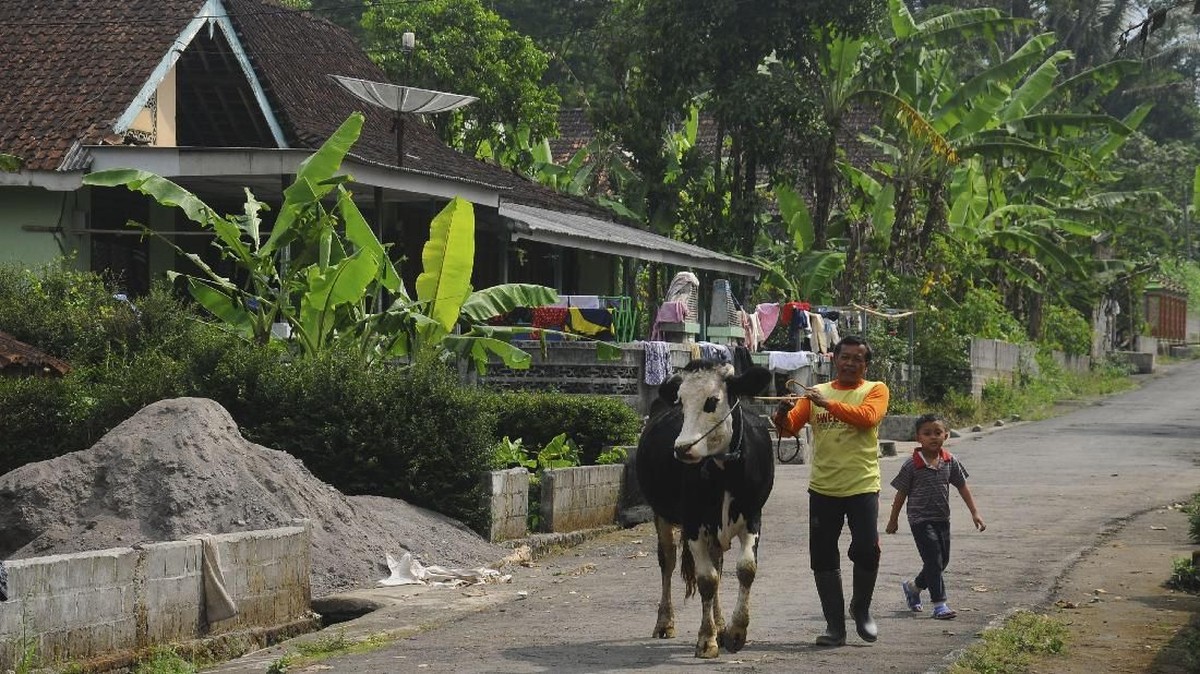 Foto : Membangun Desa Mandiri Energi Gas dari Kotoran Sapi