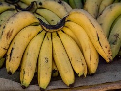 Bukan Menu Ideal, Ini Efek Buruk Makan Pisang Buat Sarapan