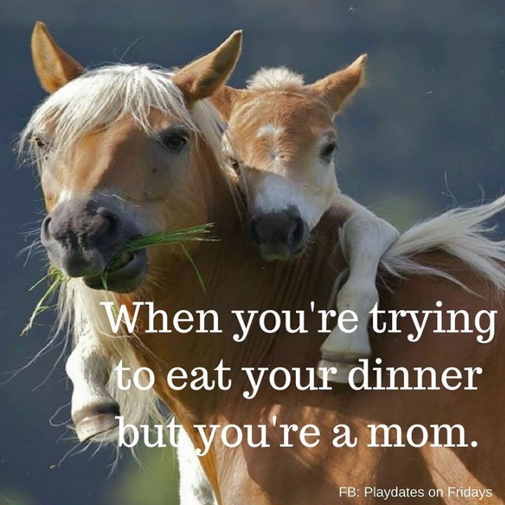 <p>Setelah si kecil selesai makan, giliran ibunya yang makan. Tapi sepertinya si kecil masih ingin 'nempel' nih. (Foto: Instagram @childfriendlydining)</p>